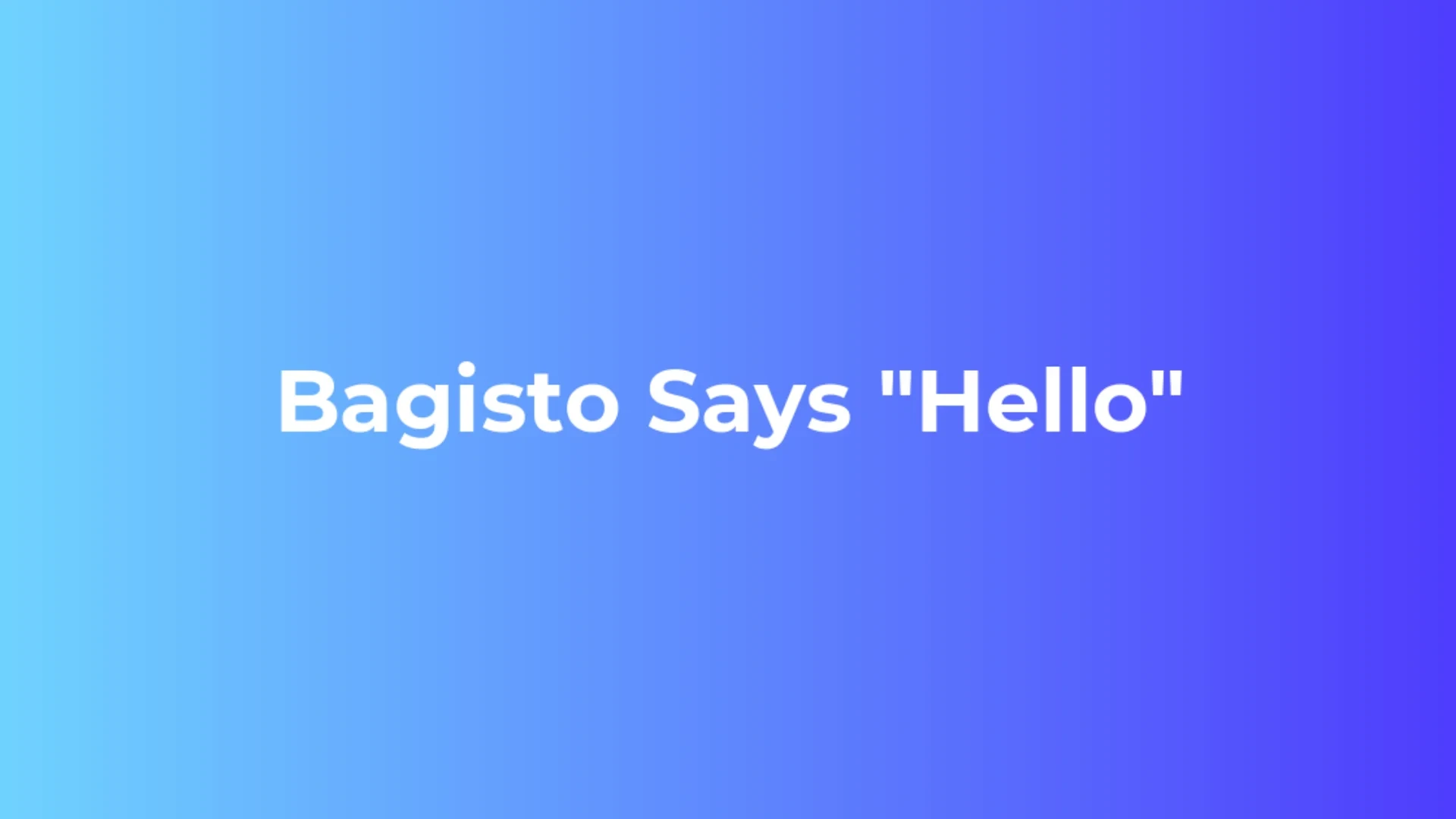 Bagisto features (from the original guide)