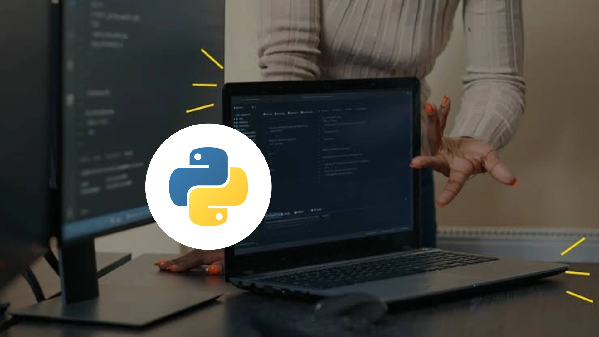 Boutique Python Agency