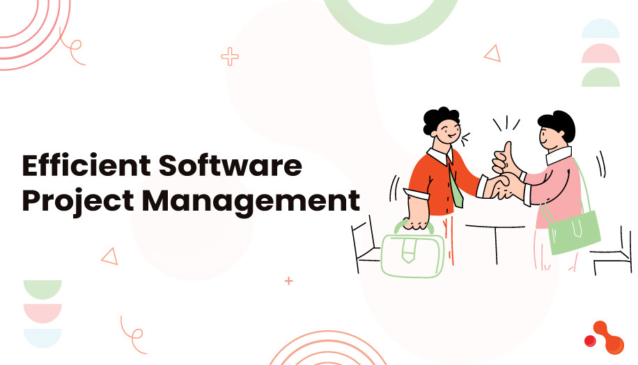 Efficient Software Project Management