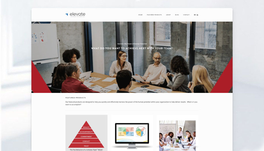 Development case study for organizational or Leadership development website