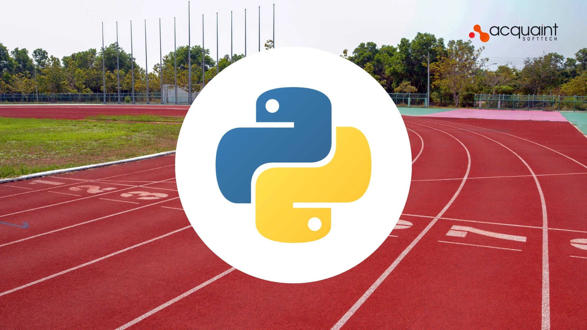 How to Run a Python Development Sprint What Good Delivery Actually Looks Like