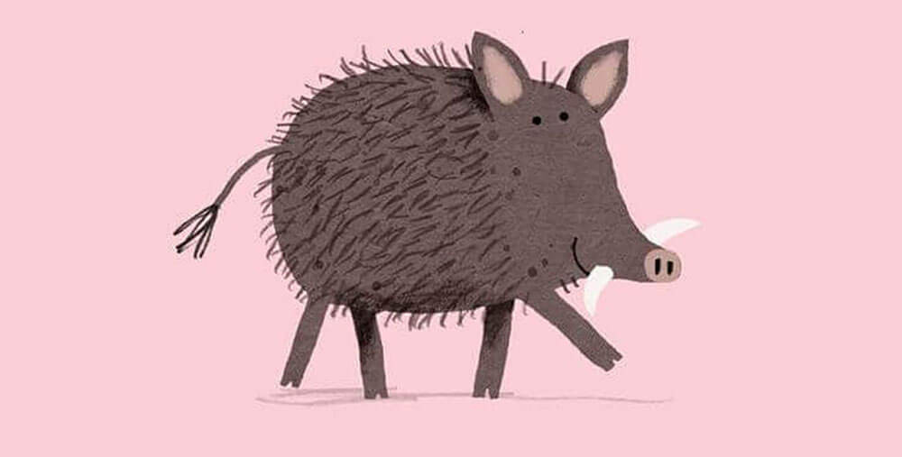 Illustrations are a visual treat