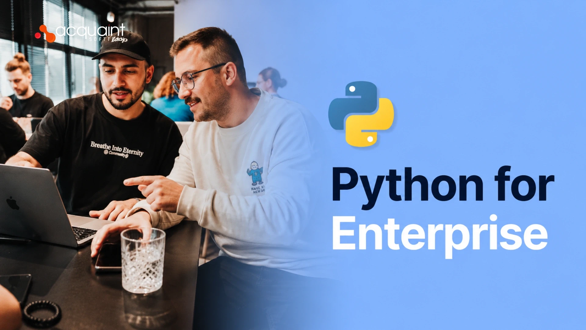 Python for Enterprise How Mid-Market and Large Companies Use Python for Internal Systems