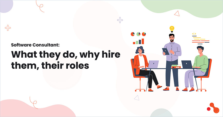 Software Consultant: What they do, why hire them, their roles