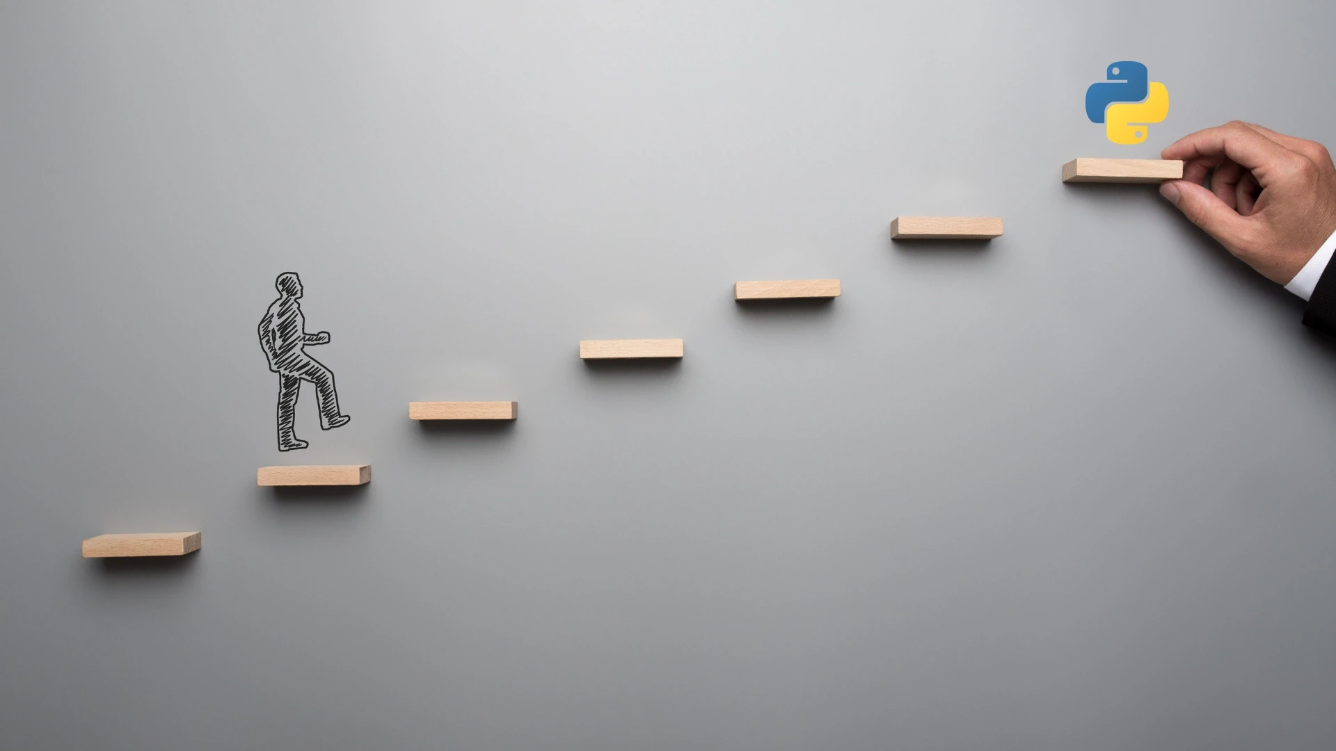 The 7-Step Python Partner Decision Framework