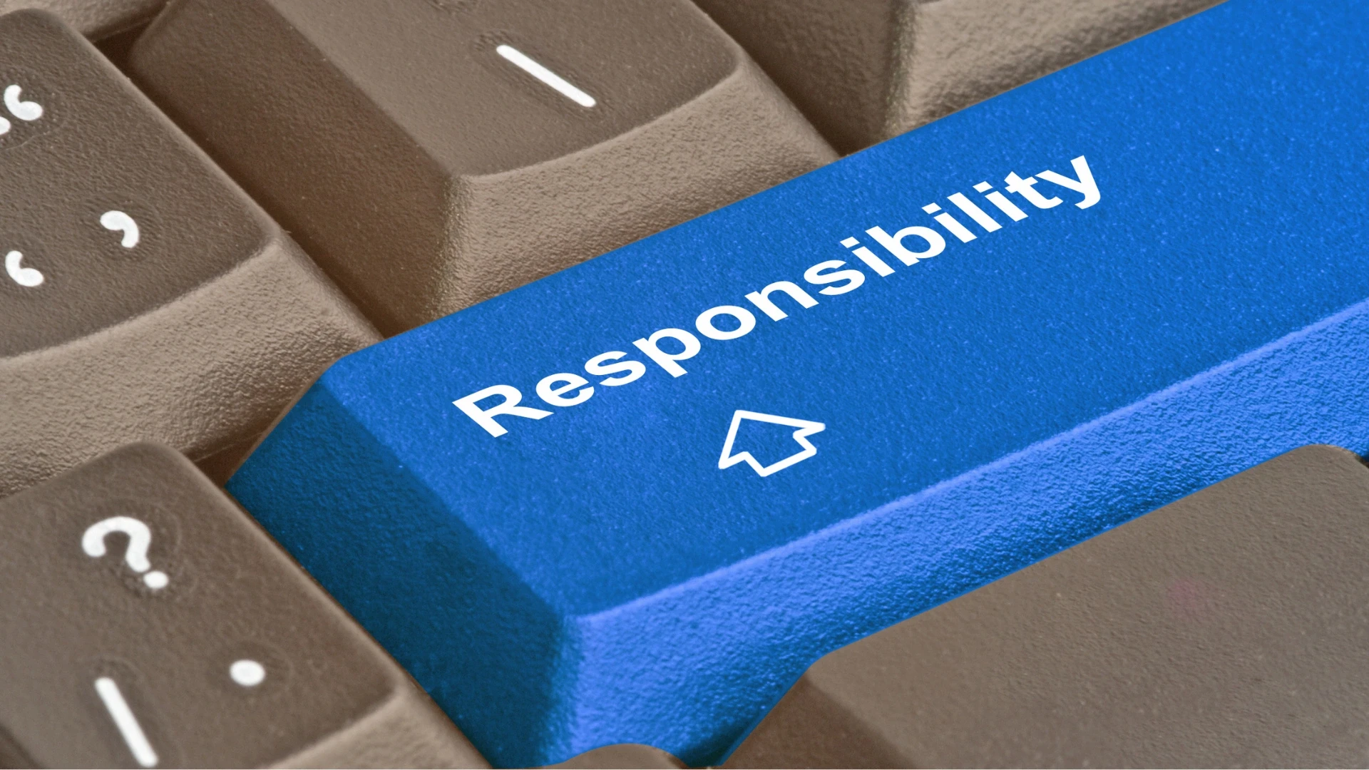 The Responsibility Matrix: Who Owns What