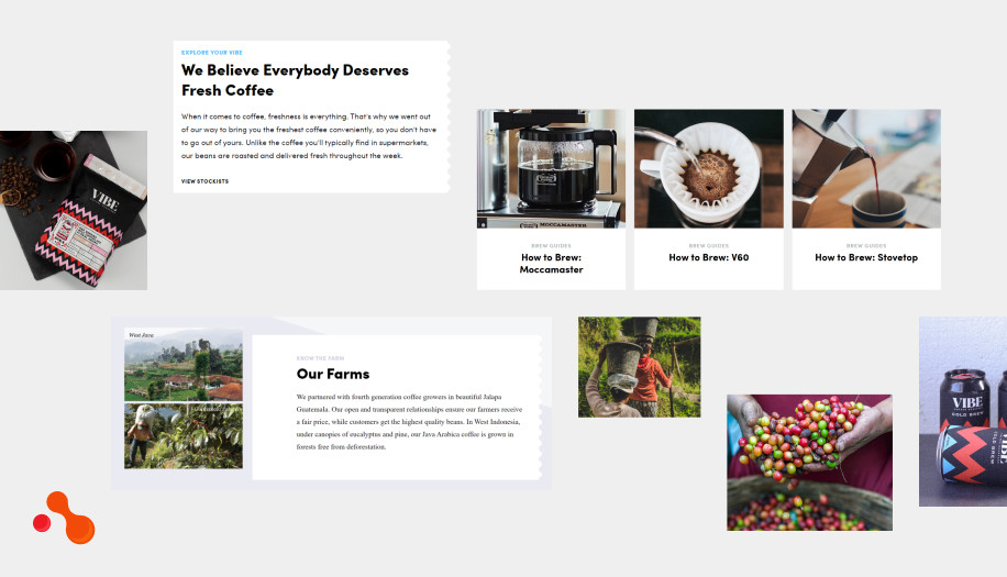 Case Study for the Coffee Shop Website