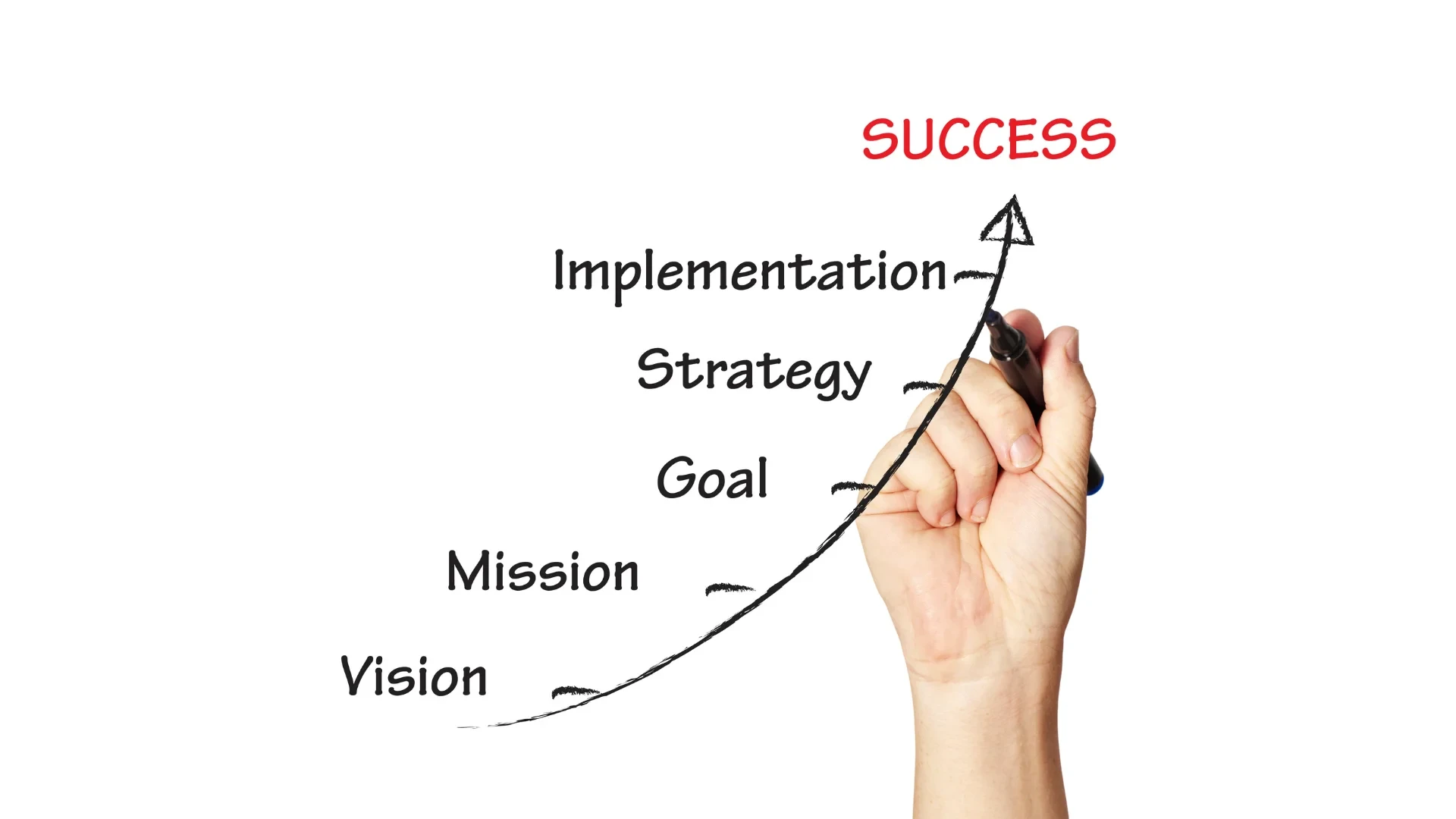 Why do startups succeed?